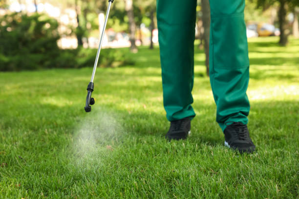 Best Flea Control Services  in Rimersburg, PA