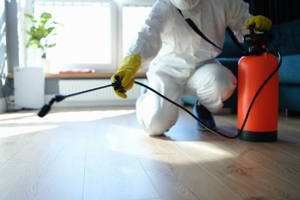 Flea Control Services in Rimersburg, PA