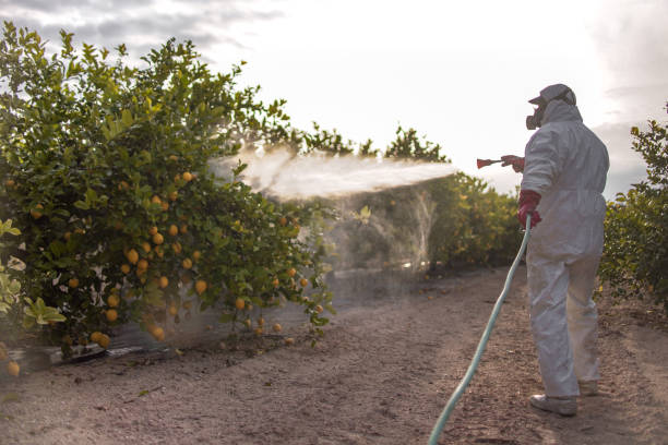 Trusted Rimersburg, PA Pest Control Experts